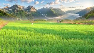 Dreamy Piano Tunes For Slow Mornings 🍵 Slow Living, Relaxing Playlist For Studying & Reading