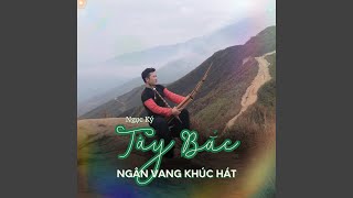 Thư Tình Của Núi