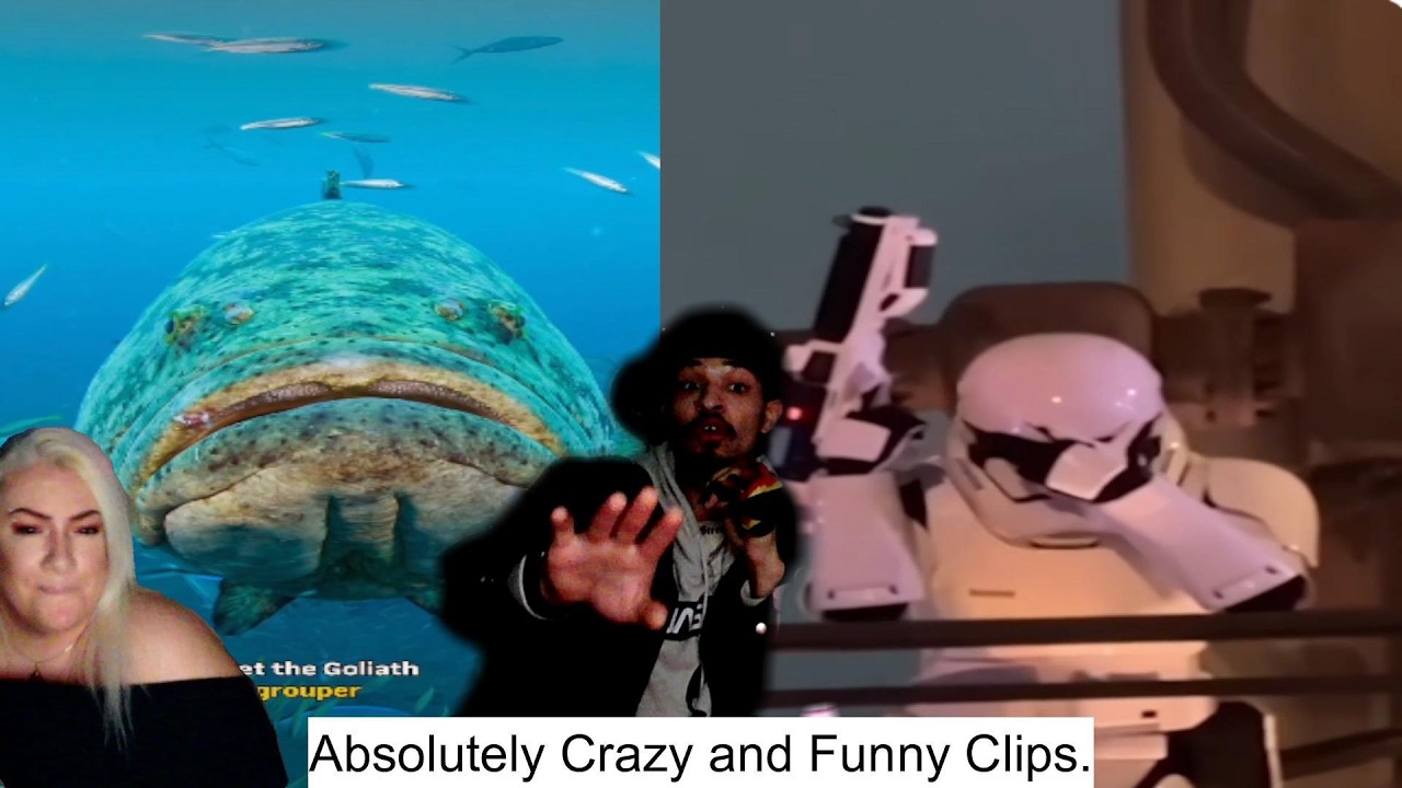 Funny Crazy Clips, that made us question everything! - YouTube
