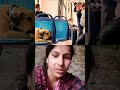 bhauji kitna samajhdar hai bhai#short video🐕🦺🐕♥️🙏