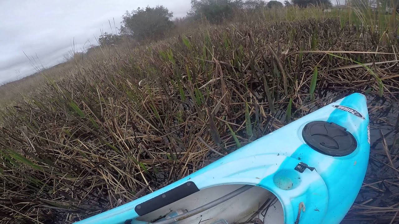 MASCOTTE BULLFROG KAYAKING DUKES LAKE 020 YouTube