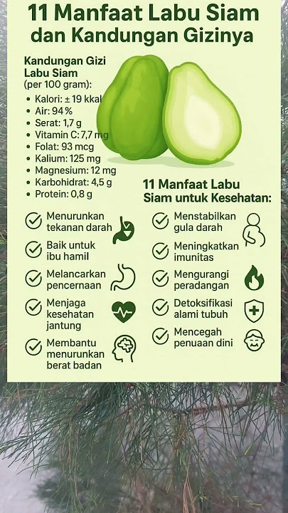 manfaat labu siam#makanansehat