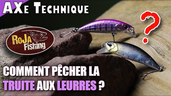 Truite aux leurres souples : comment bien pêcher au shad ? - DPSG