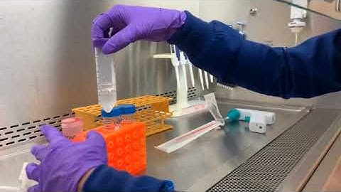 How to: PBMC processing