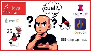 ¿Qué Versión de Java/JDK Debes Instalar?