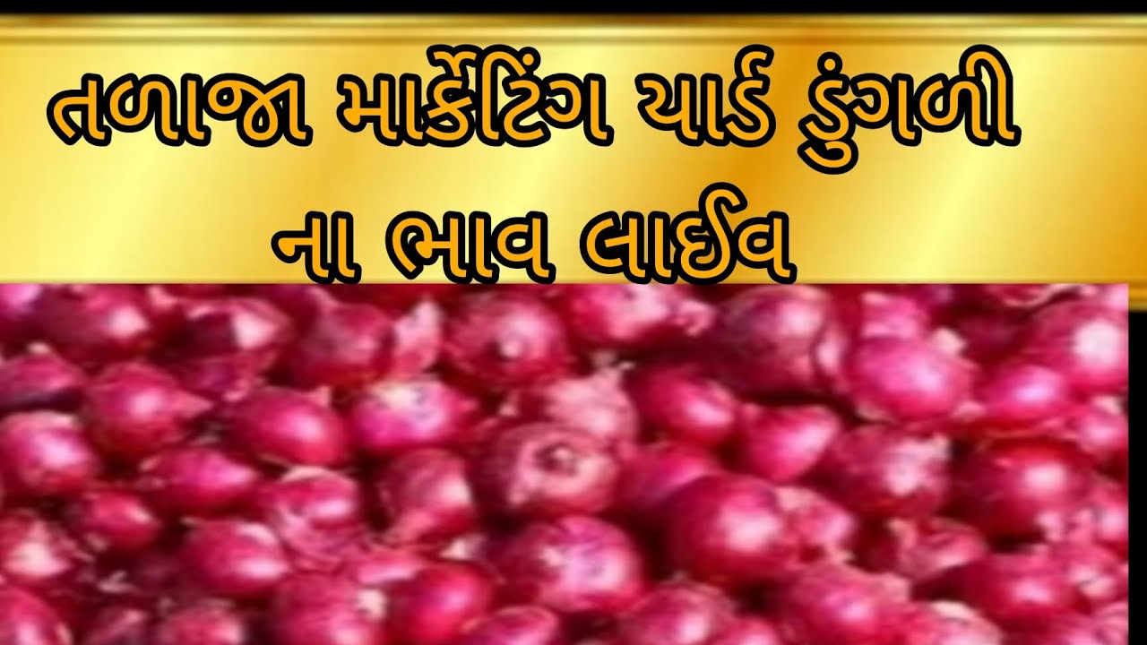 તળાજા માર્કેટિંગ યાર્ડ ડુંગળી લાઈવ અરજી 1/1/2026Dungri  Talaja marketing live bazar bhav 