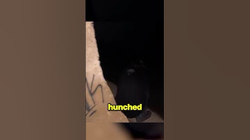 Friend Went Missing In The Sewers