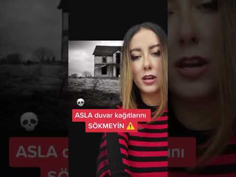 Video: Kendi elleriyle bir tavşan için anne likörünün boyutları: çizimler. Büyük cins tavşanlar için ana likörün boyutu