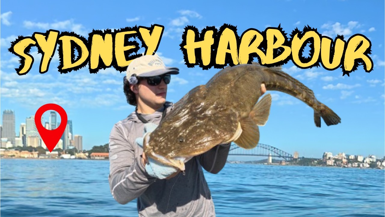 Lure fishing SYDNEY HARBOUR (BIG FISH LANDED!!)