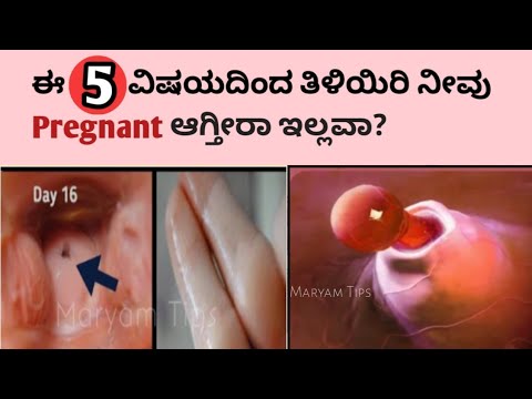 ಈ 5 ವಿಷಯಗಳಿಂದ ತಿಳಿಯಿರಿ ನೀವು ಗರ್ಭಿಣಿ/Pregnant ಆಗ್ತೀರಾ ಇಲ್ವಾ?||#Maryamtips