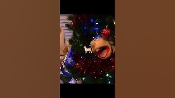 JEFFY IS NOT A CAT! 😂🙅🏻‍♂️🐈 #jeffy #smljeffy #edit #sml #memes #mario #jeffyfunny #funny #gta6