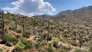 Canyon Lake lies approximately 15 miles (24 km) up the Apache Trail from Apache Junction , Arizona