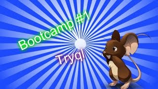 Bootcamp Pro #1 | Transformice