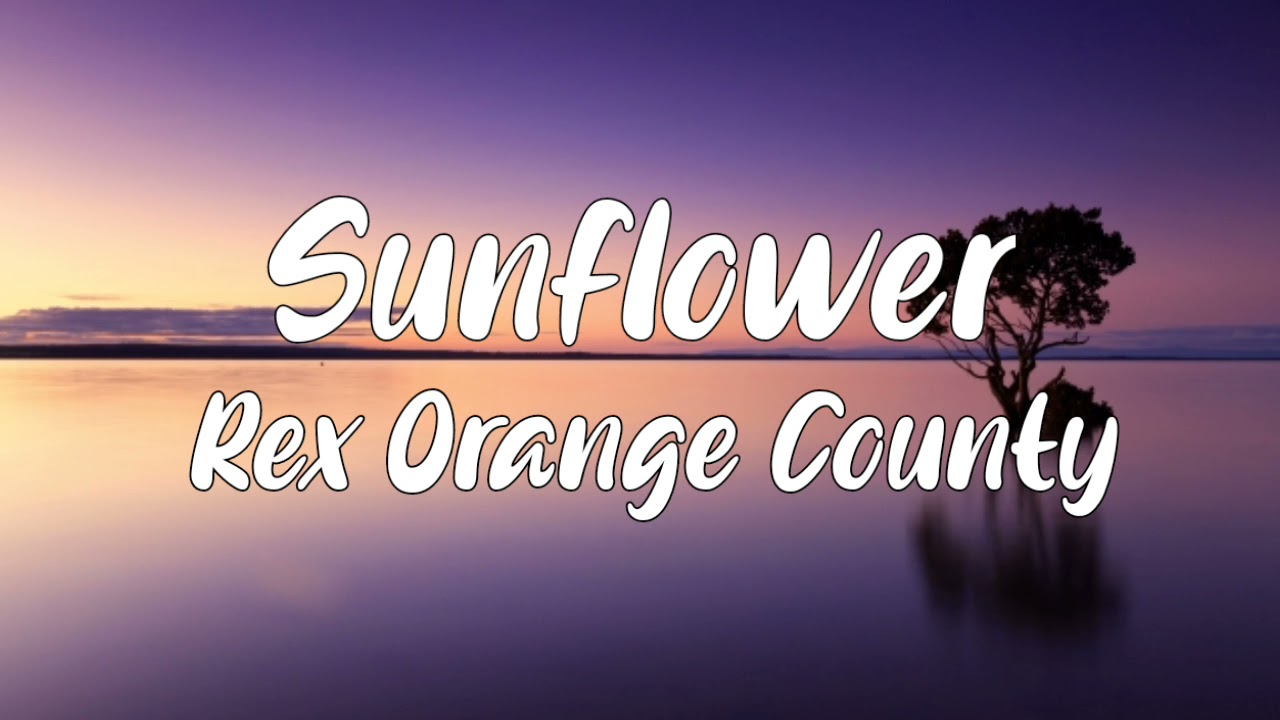 Sunflower Lyrics - Rex Orange County