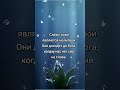 Слезы тоже молитва. #молитва #помощь #христианство #Бог #вера