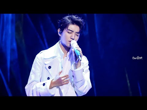 【TFBOYS 王俊凱】王俊凱2019無邊界演唱會 新歌《流星》首唱​ 華麗低音打開心房故事，每一句旋律都是舞臺上說出的最真摯告白【Karry Wang Junkai】