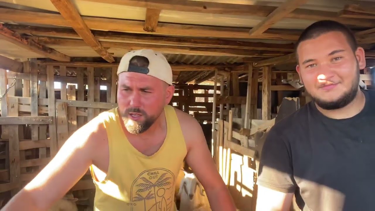 KEÇİ VE KOYUNLARIMIZA ENFEKSİYON İĞNELERİNİ YAPTIK 💉🦠