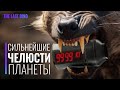 У кого Самый МОЩНЫЙ Укус за всю историю Планеты?