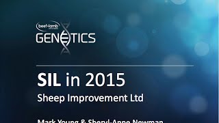 SIL in 2015 - Mark Young