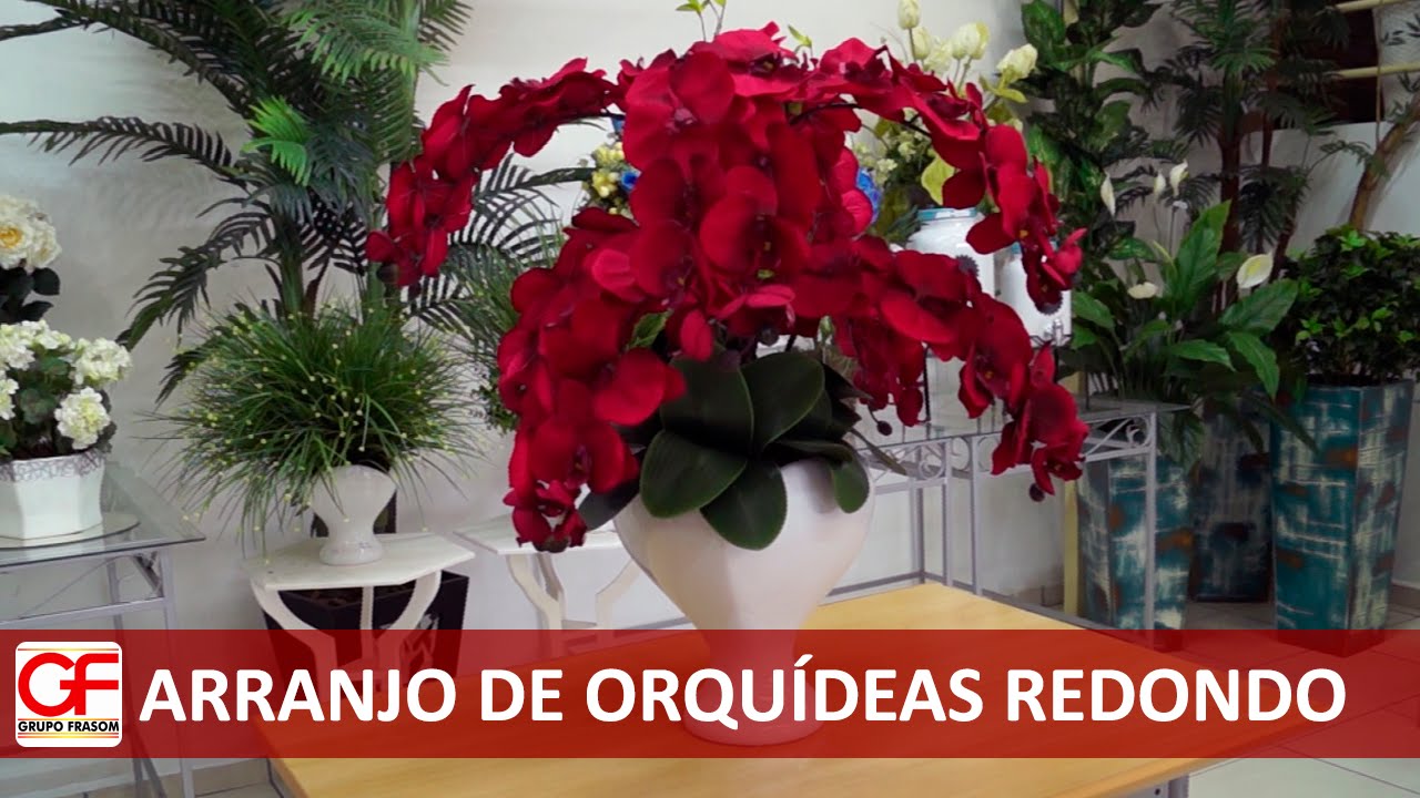 Arranjo de Orquídeas Redondo - thptnganamst.edu.vn