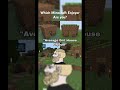 Which Minecraft Enjoyer are you? #minecraft #minecraftmemes #chad