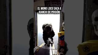 Pov: Sos un mono tratando de sacar a Juanchi de prisión en la USA. #short #juanchi