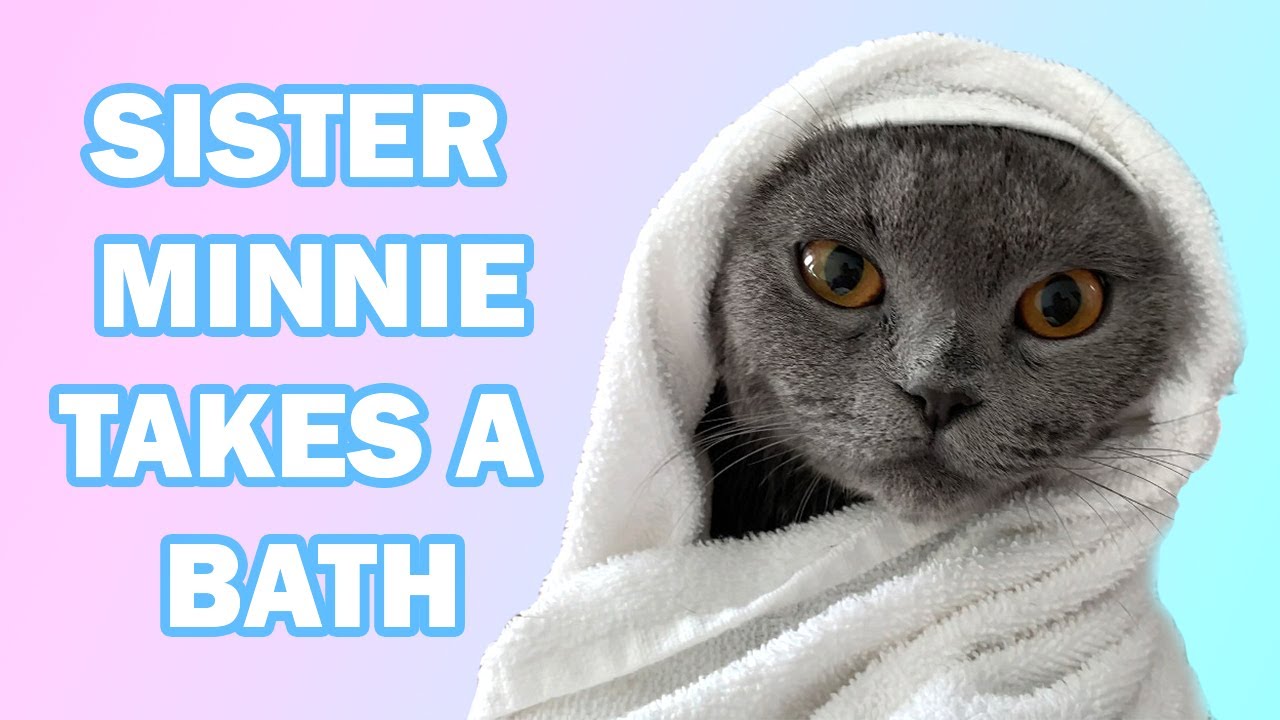 Sister Minnie Takes A Bath Youtube