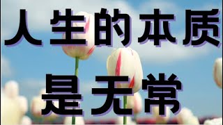 人生的本质是无常