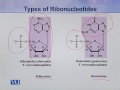 BIO302 Molecular Biology Lecture No 13