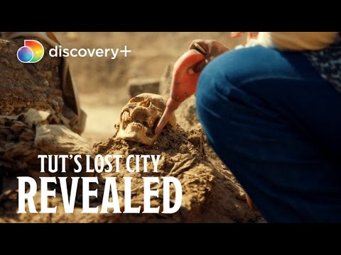 New on discovery+  