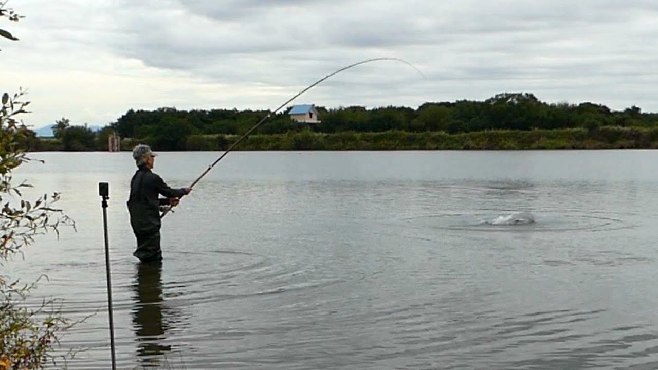 中日スポーツの取材で長良川にチャレンジ