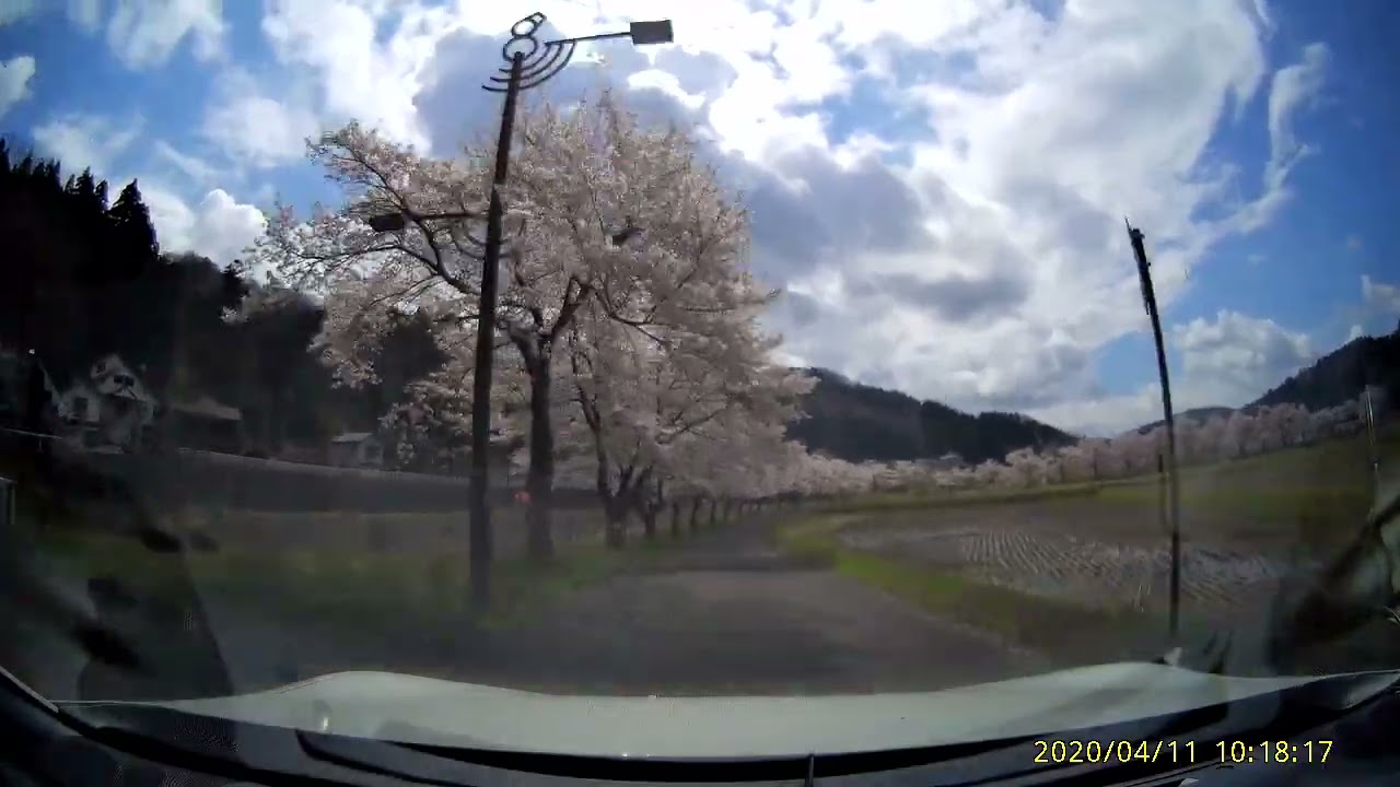 新潟県上越市安塚区のリバーサイドロード(約6kmの道路) #86