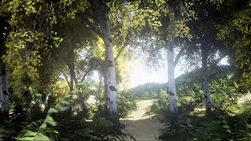 Autumn Forest rendered in Unreal engine UE4