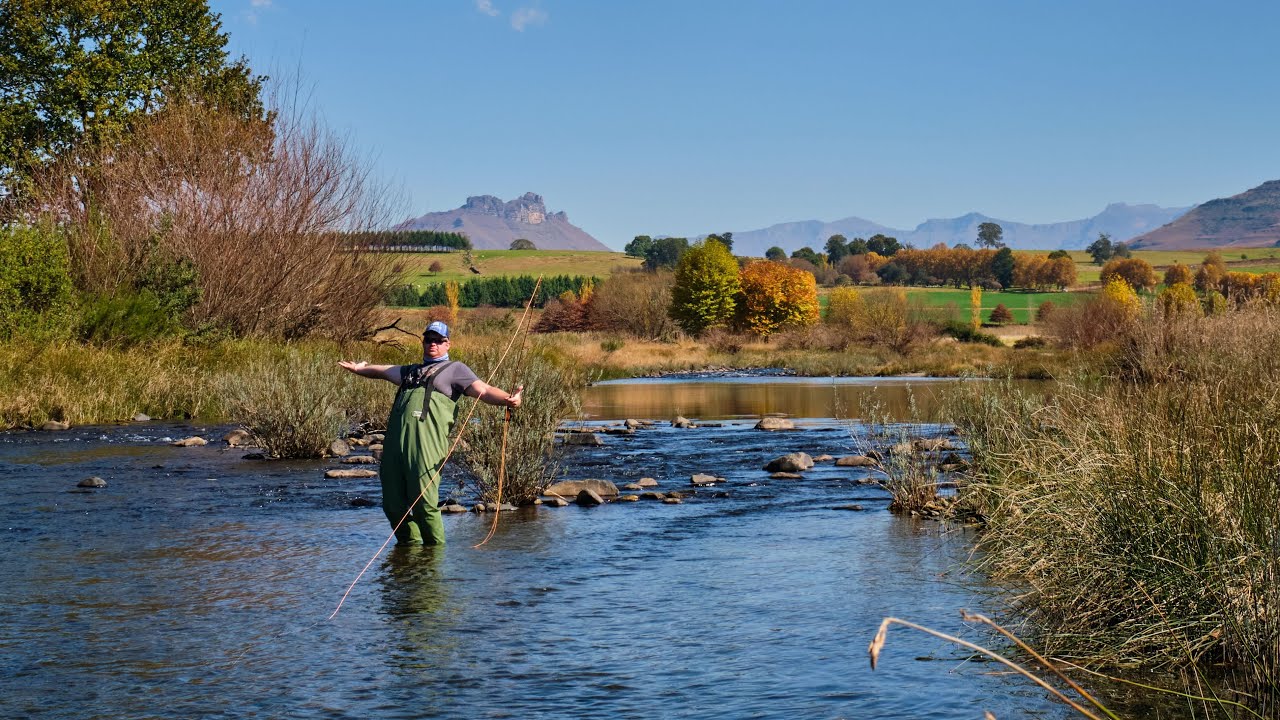 Trout In The River! Go Fish With Friends Underberg Episode 3 YouTube