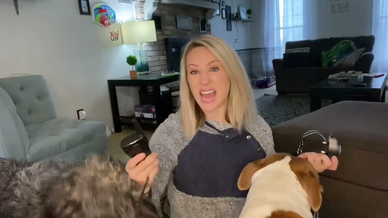 PATPET 320 Dog Collar Reviews | Afraid at first  But best decision ever