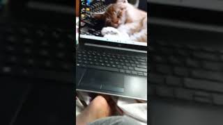How to get free points on fetch rewards! screenshot 3