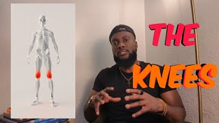 Neuro-Somatic Mapping Lesson #5 | The Knees 