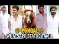 Happy Pongal Whatsapp Status Tamil🌾Pongal Whatsapp Status☀️Pongal Status 2022✨