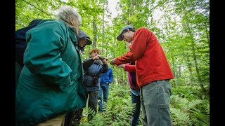 Terrestrial Species Identification and Survey Training June 9 2020 screenshot 1