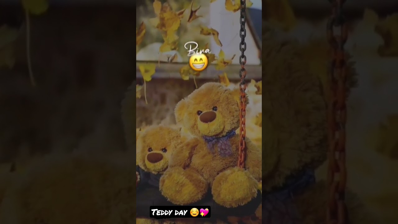 🥰 teddy day status 🖤| cute teddy status | teddy bear punjabi status | teddy 2023 status | 
