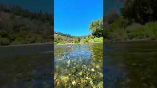 River Crossing #Shorts #Norcal