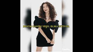 Aganın küçük karısı 31#onyaz