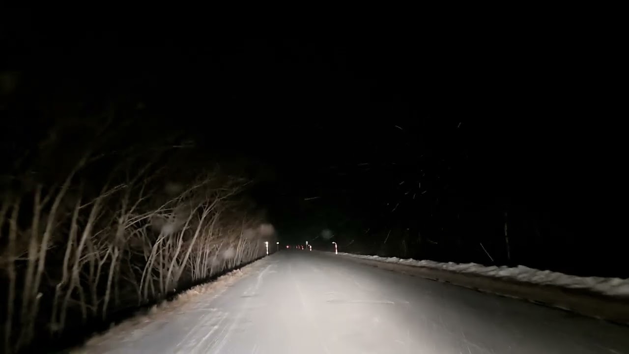 雪が降ってきたので釧路湿原道路をドライビングなうなう！　画質いまいち鹿さんちょっとだけです。