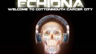I Cant Stop Flux Pavilion Remix Echidna Dubstep