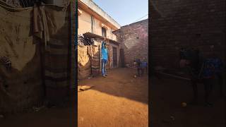 Aston The Cane Corso Training