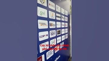 Các tổ chức phi chính phủ của Mỹ tại VN #tochucphichinhphu #my #america #giaoluuvanhoa #vietmy