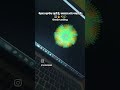 star flower design python programming using coding #shorts