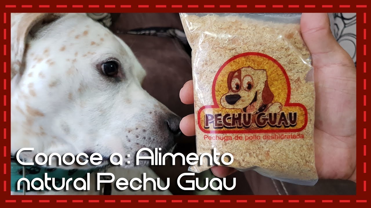 Conoce a: Alimento natural para perros Pechu Guau (Pechuga de pollo) -  YouTube