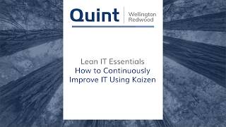 Lean IT Essentials  - How to Continuously Improve IT Using Kaizen screenshot 1