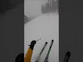 Skiing in a Snowstorm. Italy
